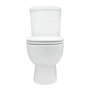Унитаз-компакт Sanita Luxe Art Comfort WC.CC/Art/2-DM/WHT.G/S1 сиденье с микролифтом