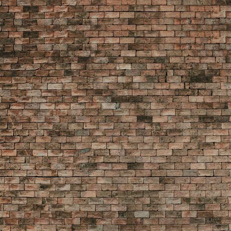 WP08114A Обои декоративные Adriani e Rossi 