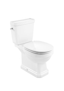 AZ420A1000 Полный безободковый унитаз с двойным выпуском (включает чашу, нижний бачок для кормления и мягкую крышку) ROCA Carmen