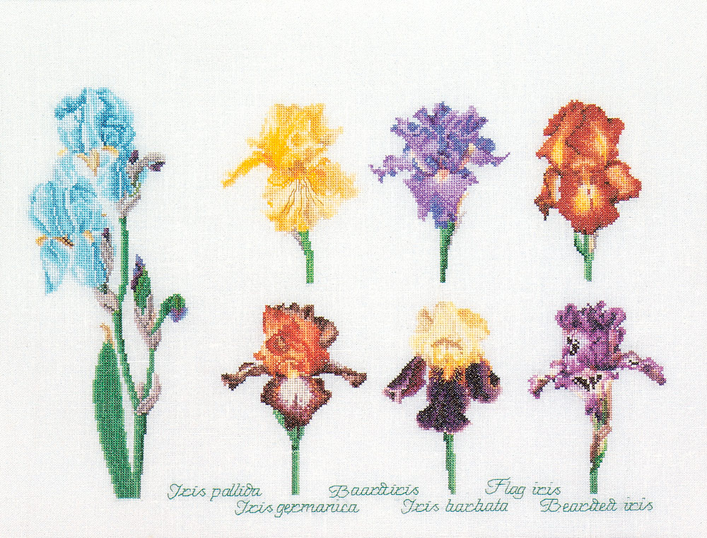 3051А Набор для вышивания Ирисы 47 х 36 см Thea Gouverneur 