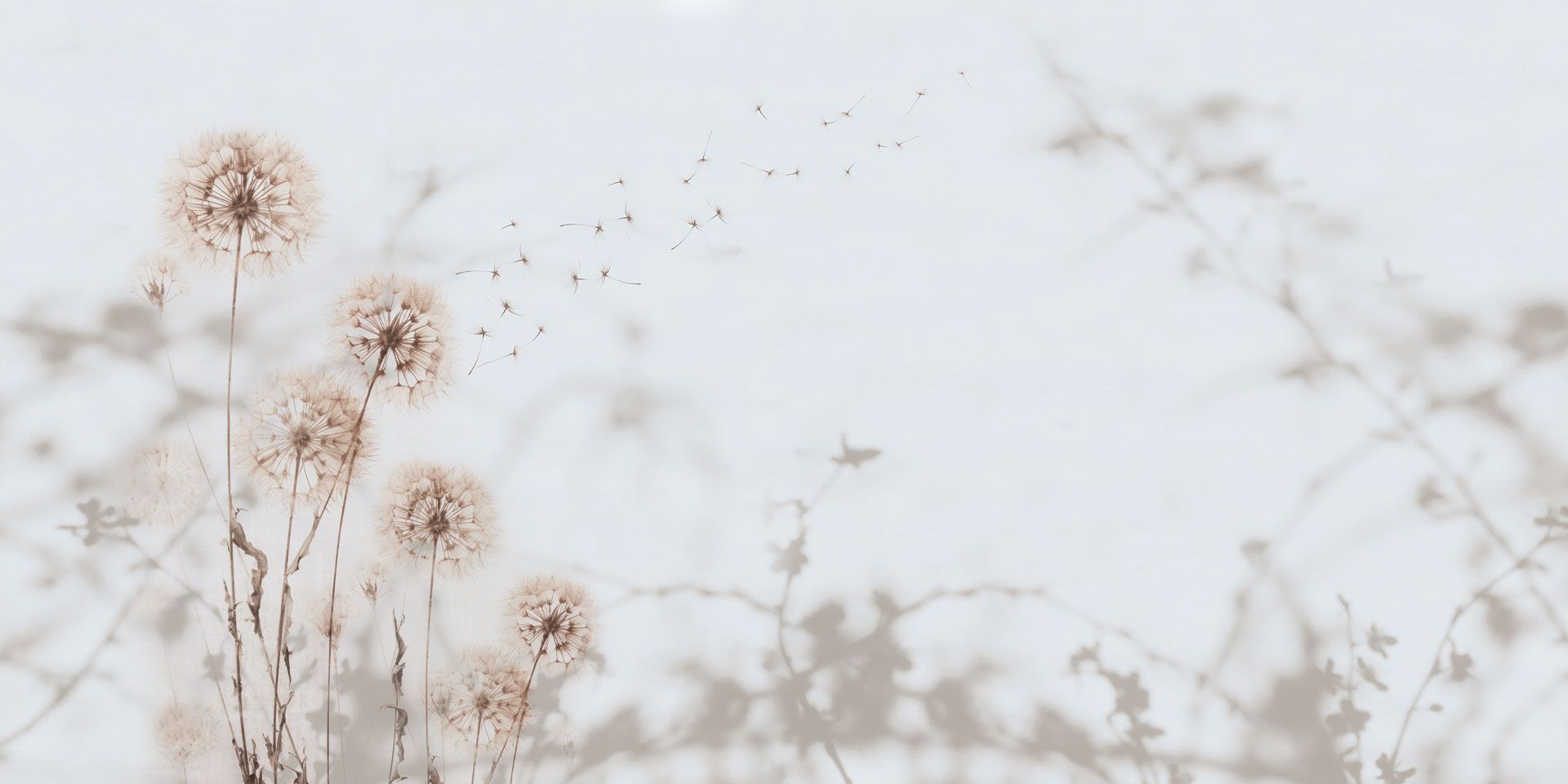 Обои с цветочным узором Rimura 2024 ARCH-00127163 - Вид №4