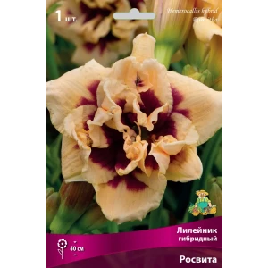 Лилейник гибридный Росвита I, 1 шт 82530254 STLM-2097161