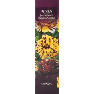 Роза Флорибунда «Сим Салабим» в коробке 82155320 STLM-2133724