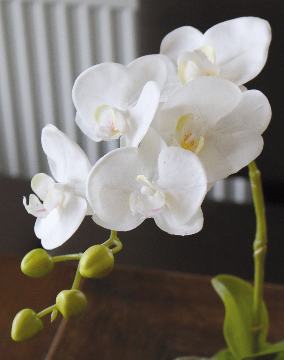 2855 777 a3 Пластиковая орхидея Phalaenopsis с 'почвой', 43 см, real touch, белая H-andreas  - Вид №3