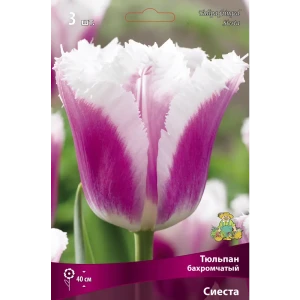 Тюльпан бахромчатый Сиеста 3 Шт 10/11, 3 шт. 89381351 STLM-2125705