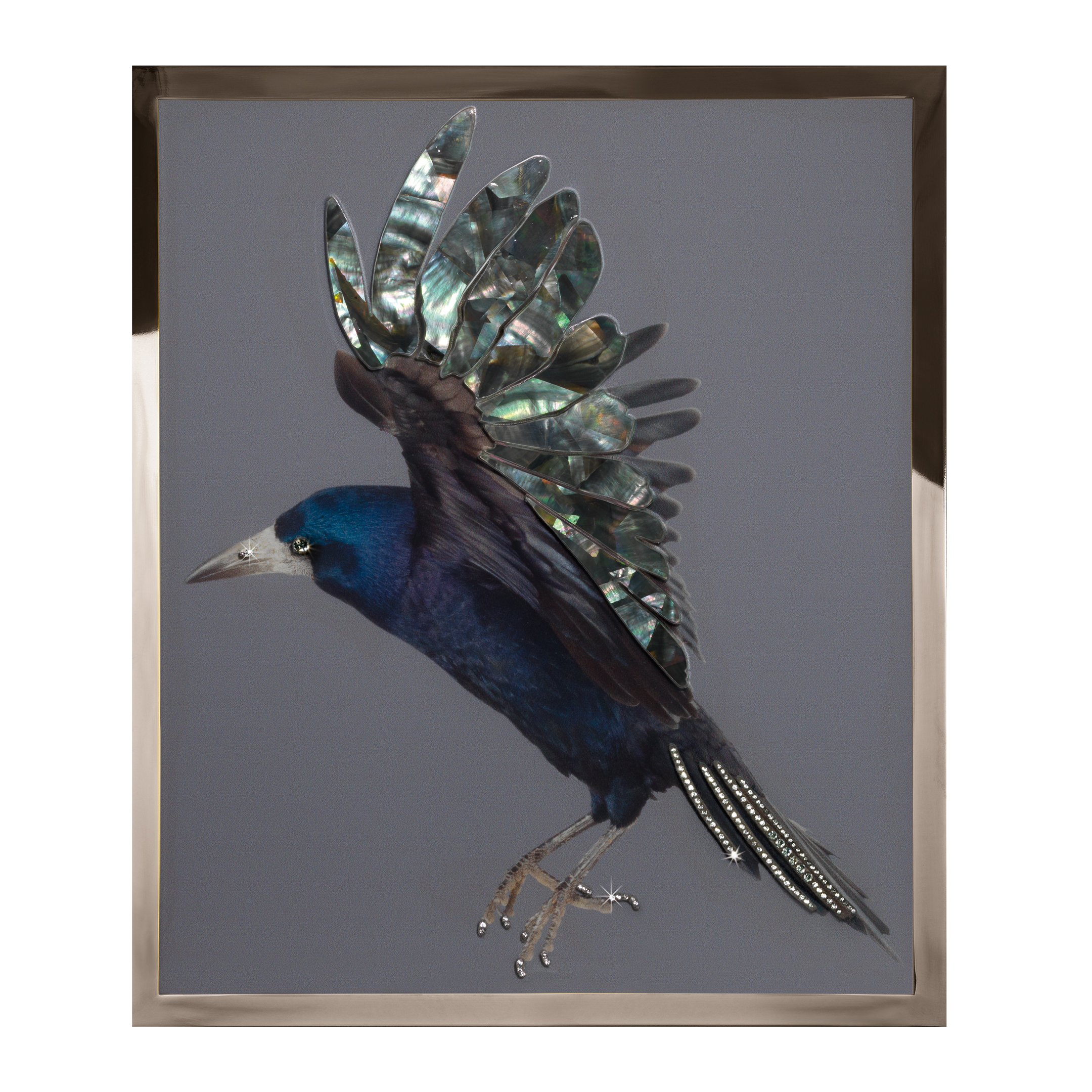 Corvo Смешанная техника Visionnaire  - Вид №1