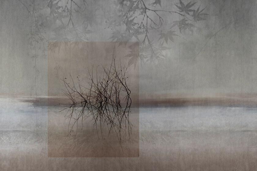 GLAMORA Пейзаж обои Collection x creative wallcoverings Glx78 - Вид №1