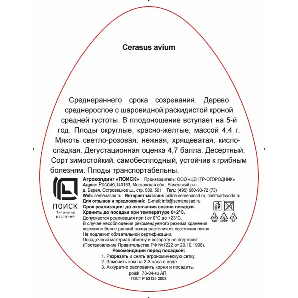 Черешня Фатеж h220 см 83791641 STLM-2200317 Santreyd  - Вид №2