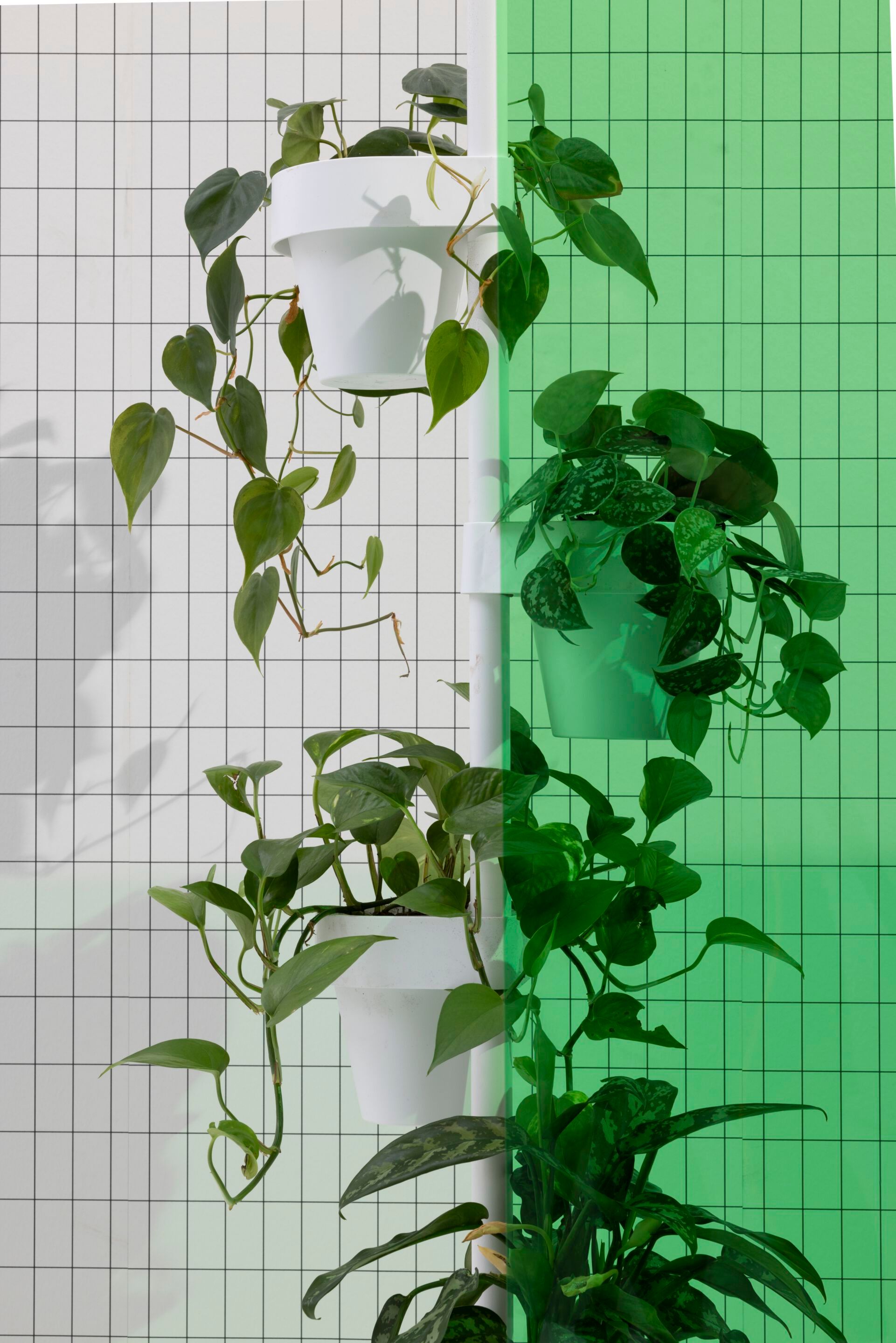 Стальная напольная подставка для горшков с порошковым покрытием Cascando SLIDE ARCH-00051757 - Вид №7