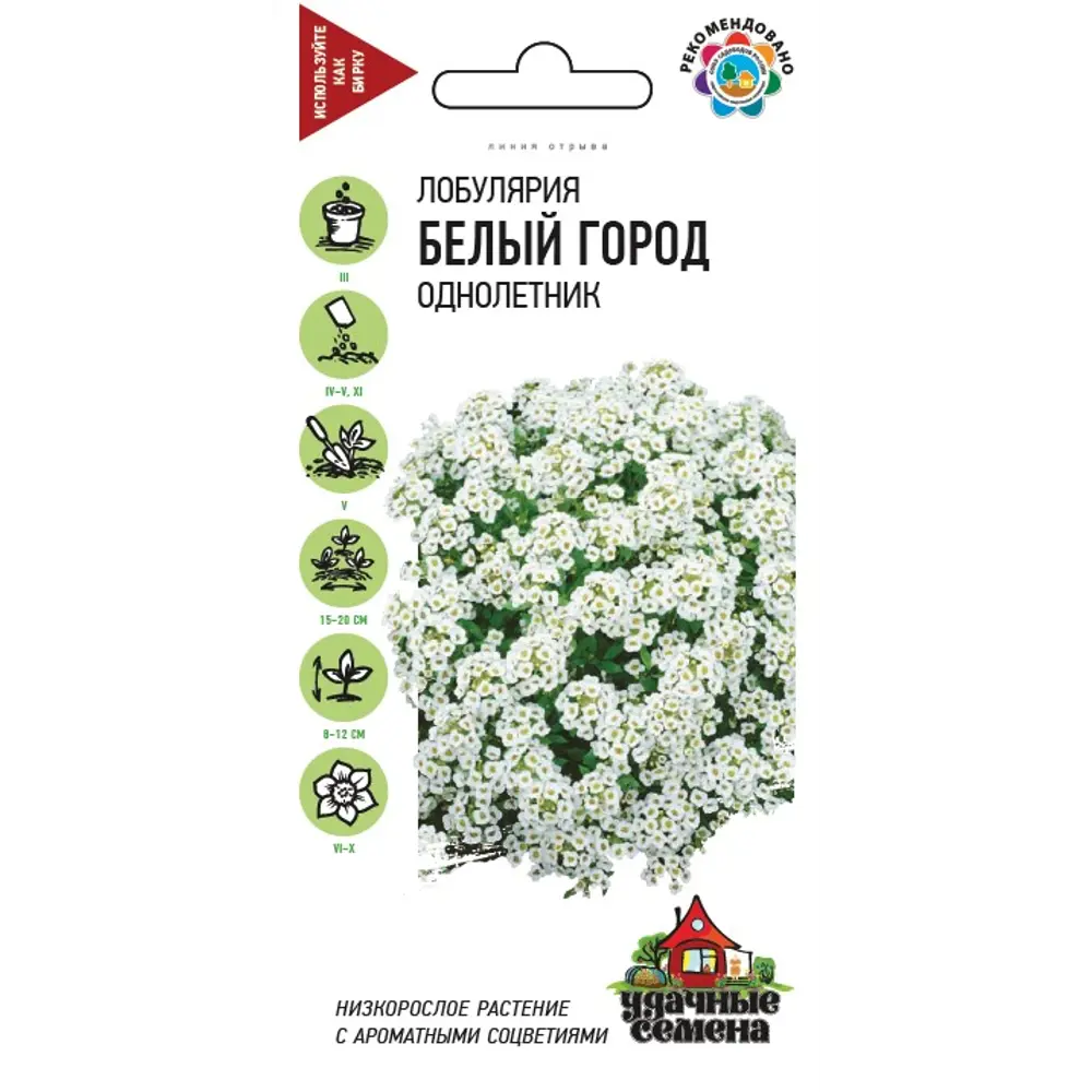 Семена Лобулярия Белый город 83606935 STLM-2168415 ГАВРИШ 