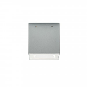 1011665 Потолочный светильник Platek MINI ONE Plafone  MINI ONE Bollard - 1 LED 4000K diffuse