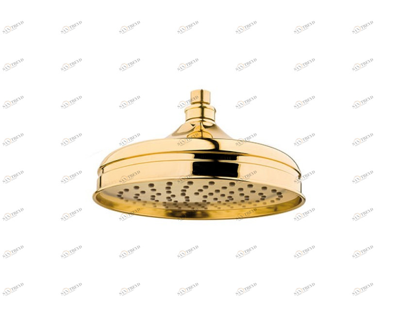 015946.0AR.71 Душевая лейка 200мм Античное серебро Mestre 