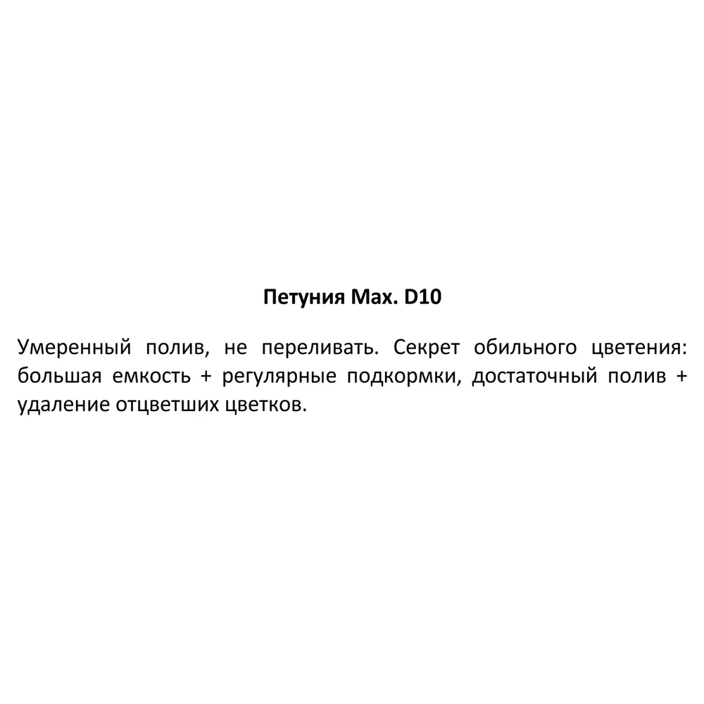 Петуния махровая ø10 h20 см 83248424 STLM-2076176 Santreyd  - Вид №2