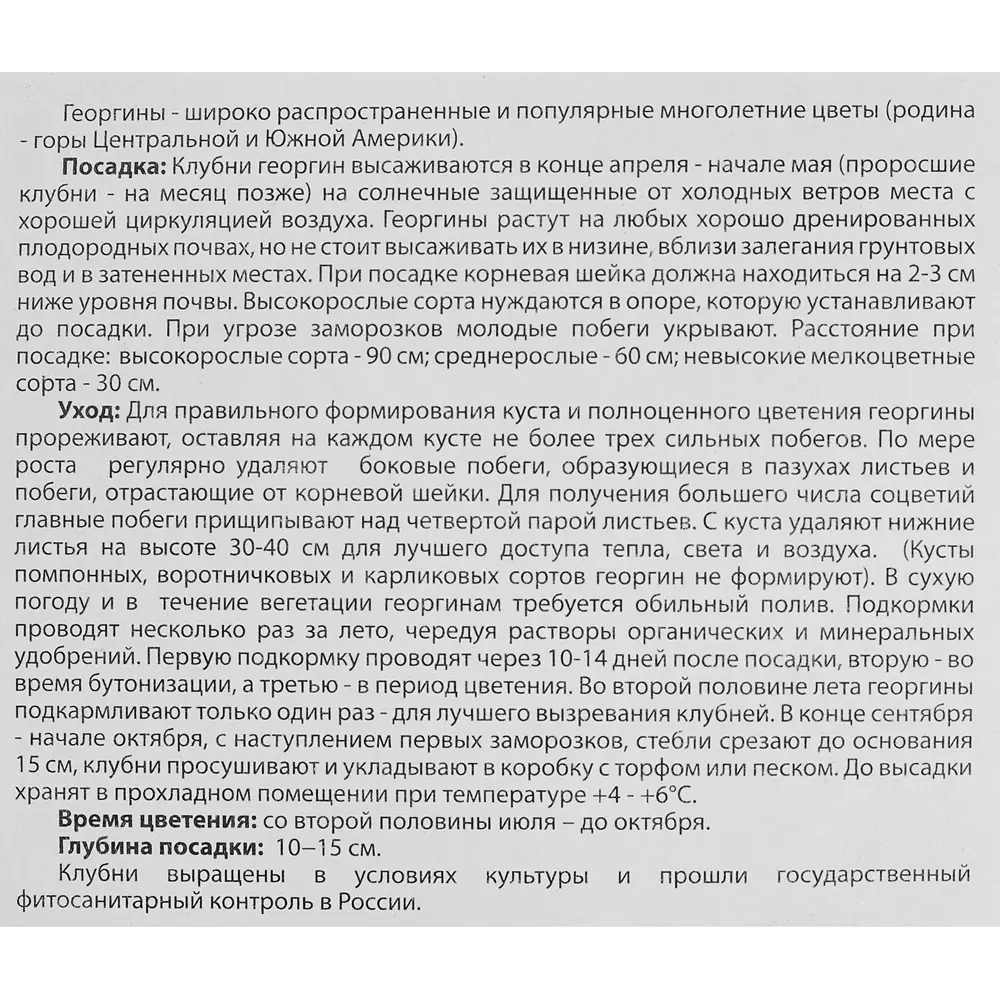 Георгина Фимбриата Грехем Айленд 1 шт. 83628445 STLM-2001123 BLOOMING LIFE  - Вид №2