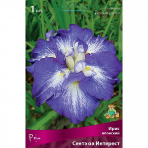 83597284 Ирис японский Сентэ Ов Интерест луковица I
