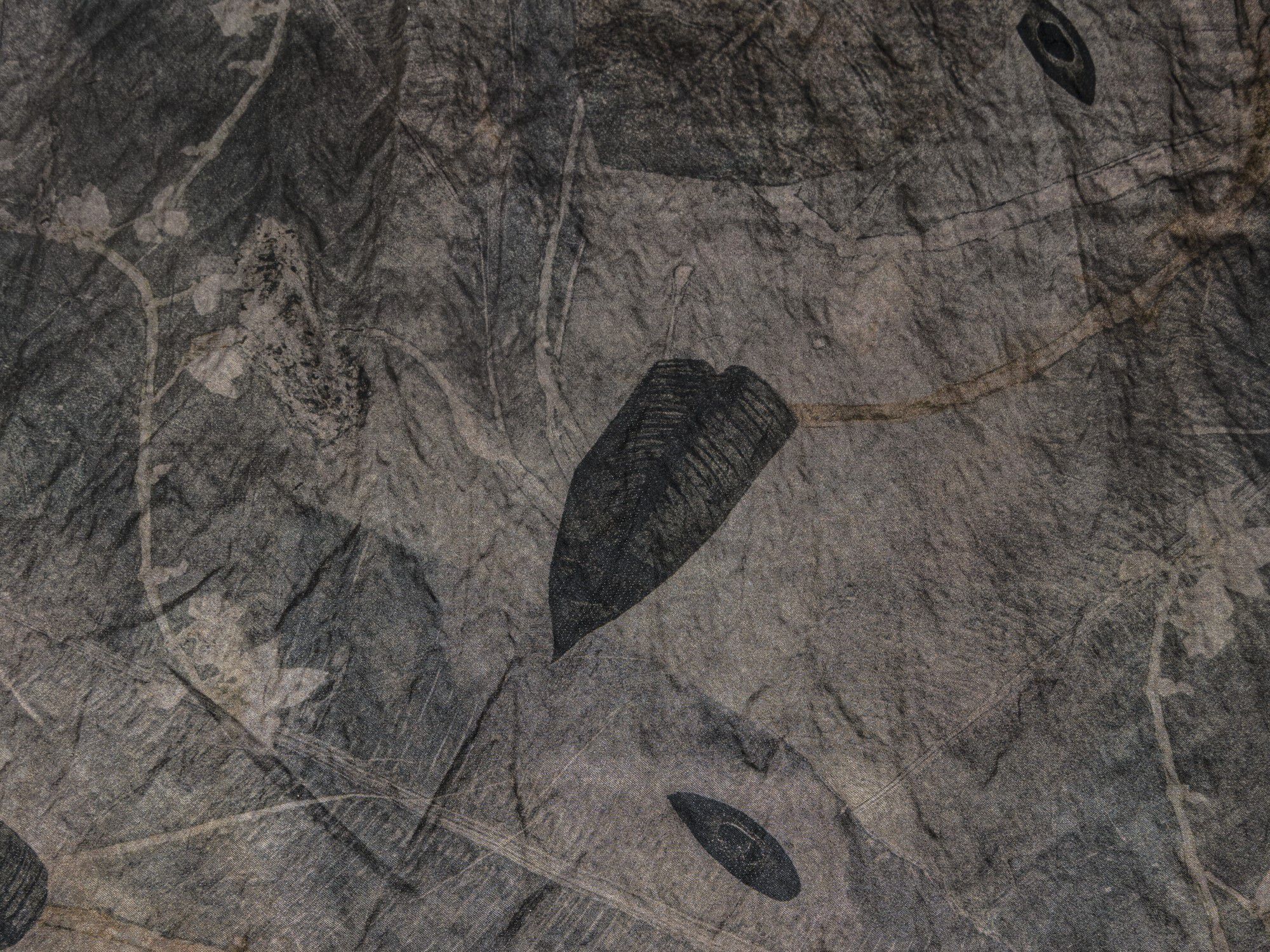 Вискоза и хлопчатобумажная ткань с принтом The House of Lyria SERCHIO ARCH-00057217 - Вид №1