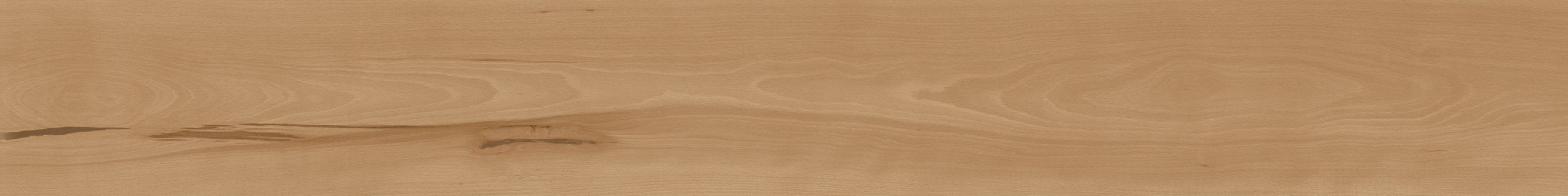 Напольное покрытие из керамогранита под дерево Atlas Concorde Log Cansei ARCH-00109512 - Вид №8