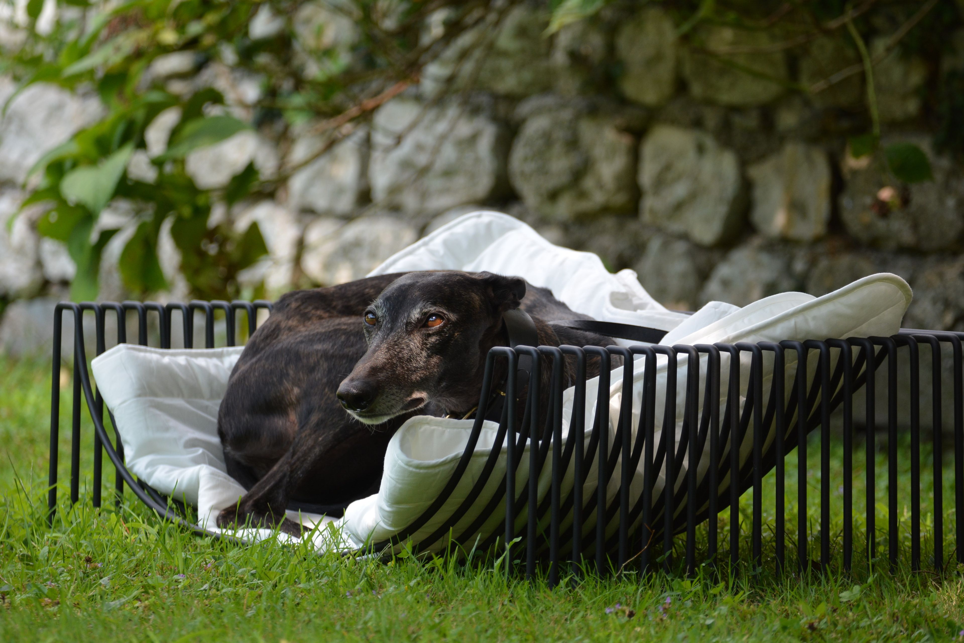 Питомник в железном стержне Pipedesign Zoe ARCH-00087601 - Вид №4