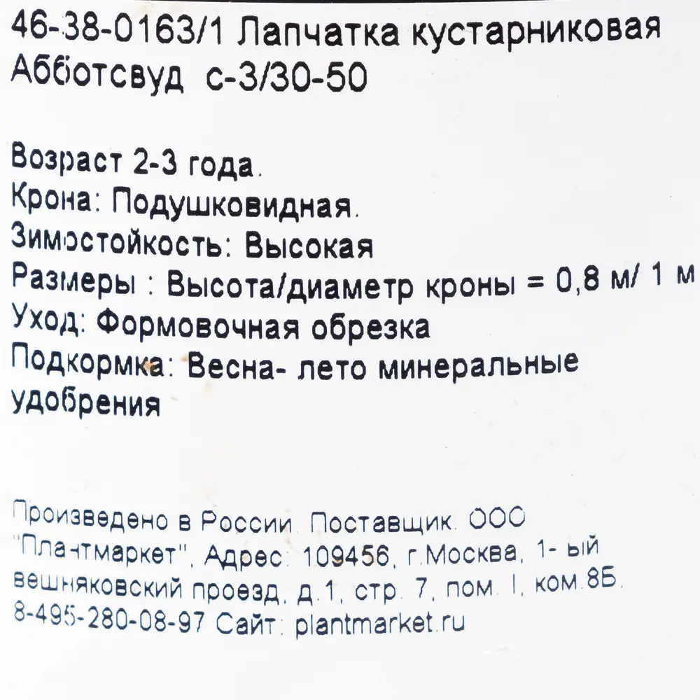 Лапчатка кустарниковая «Абботсвуд», С3/30-50 см 18468672 STLM-2184706 Santreyd  - Вид №1
