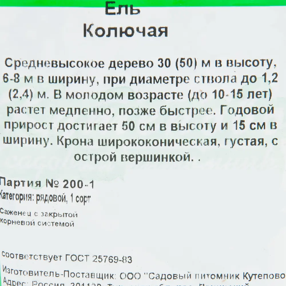 Ель колючая 9x10 см 82596775 STLM-2193774 Santreyd  - Вид №1