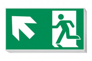 DST-560 Lisu Daisalux Светильники аварийные Серебристо-Серый