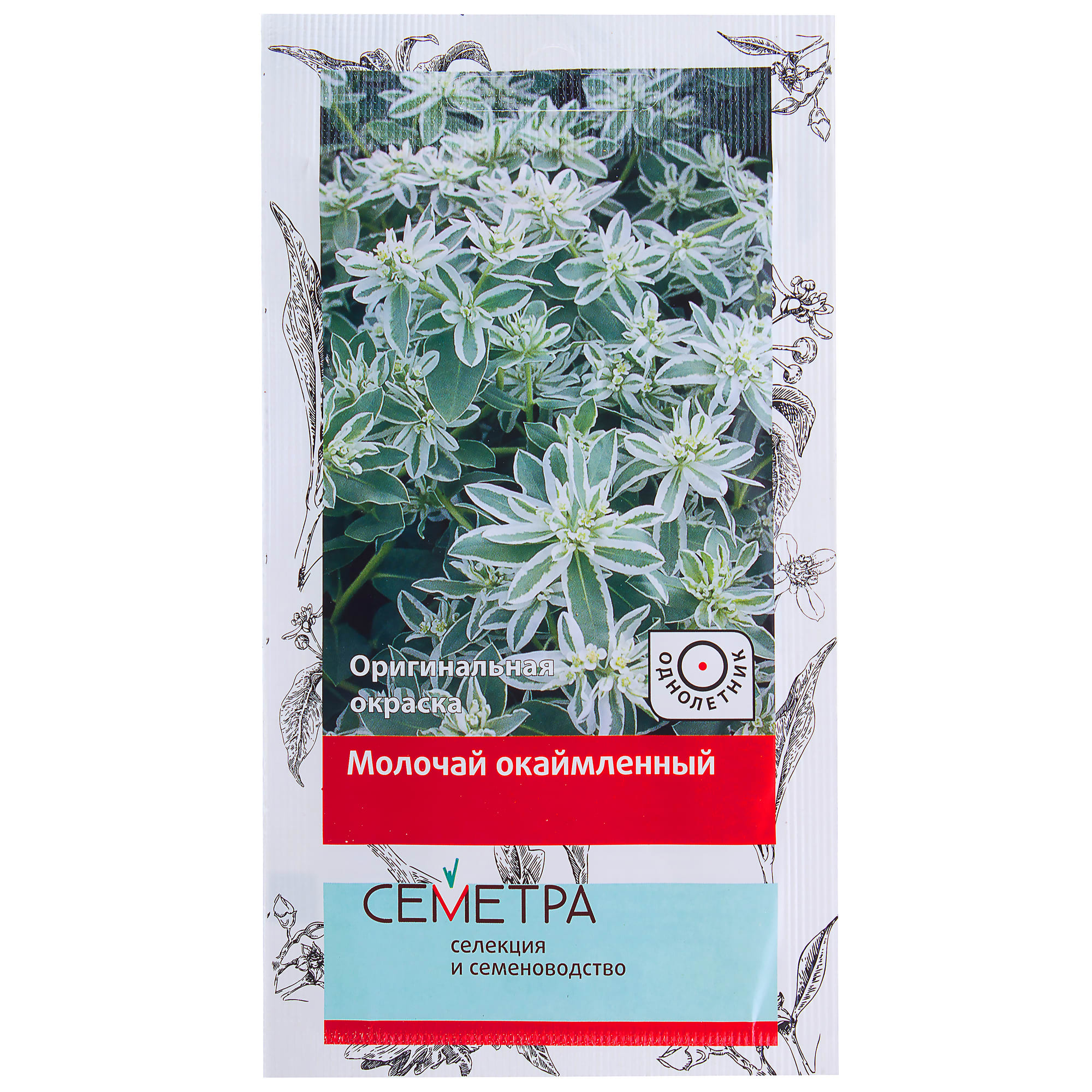 18359231 Молочай окаймленный Santreyd 