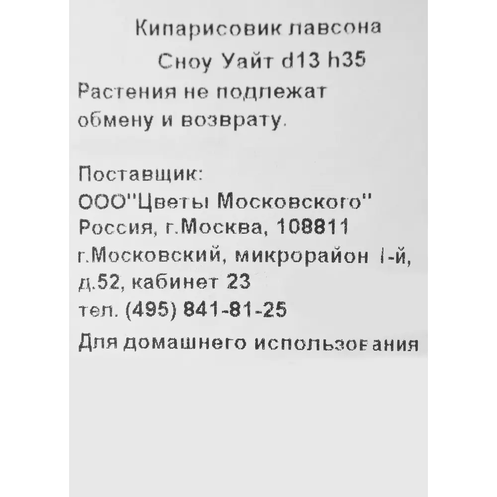 Кипарисовик Лавсона «Сноу Уайт» 1 л h35 см 82219021 STLM-2057145 Santreyd  - Вид №2