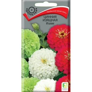 Семена цветов Поиск цинния изящная Италия 86218006 STLM-2006151