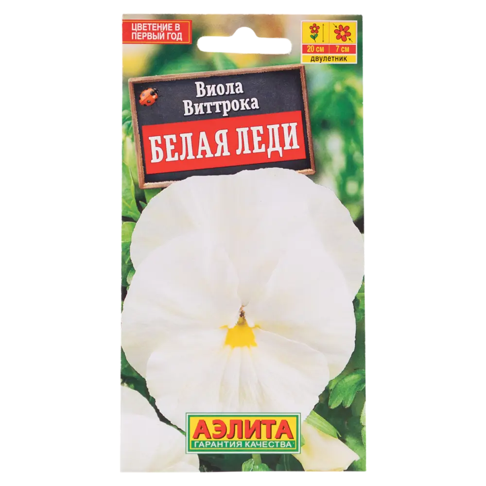 Семена цветов виола Белая леди швейцарские гиганты 13075853 STLM-2046883 Santreyd 