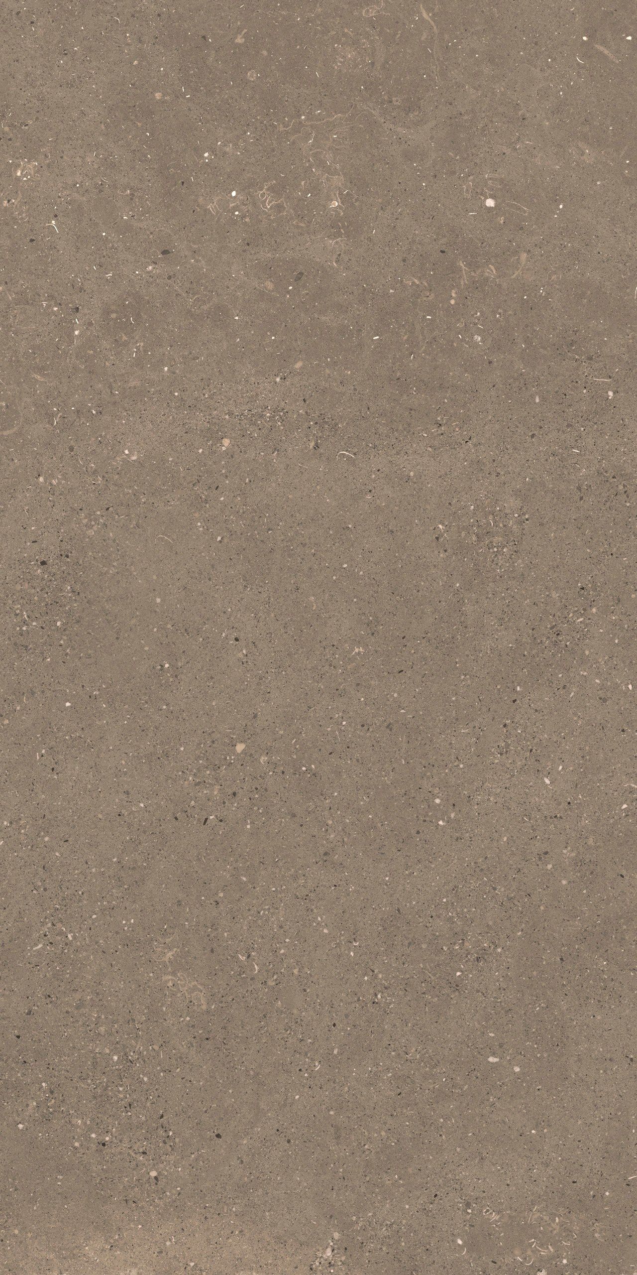 Пол / облицовка керамогранита с эффектом камня Fiandre сплошная ARCH-00006905 - Вид №6