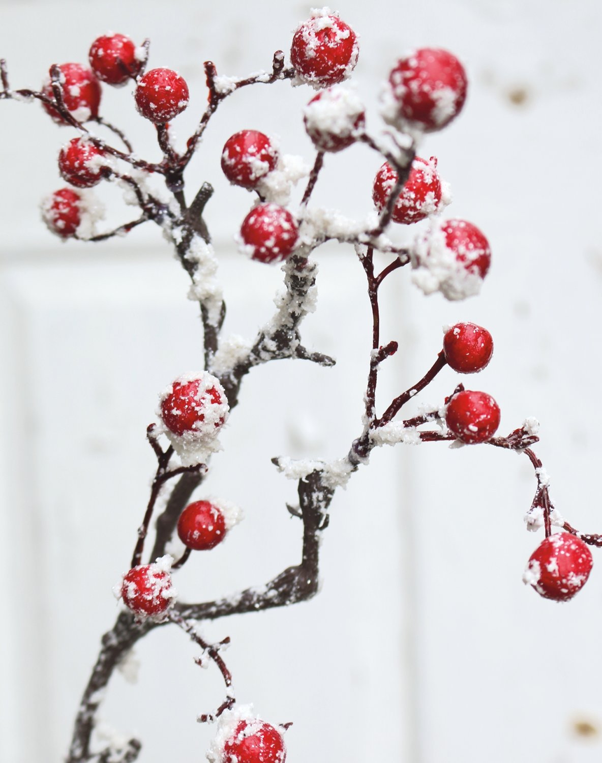 1095 407 a3 Ветка искусственной ягоды со снегом, 101 см, красно-белая H-andreas  - Вид №1