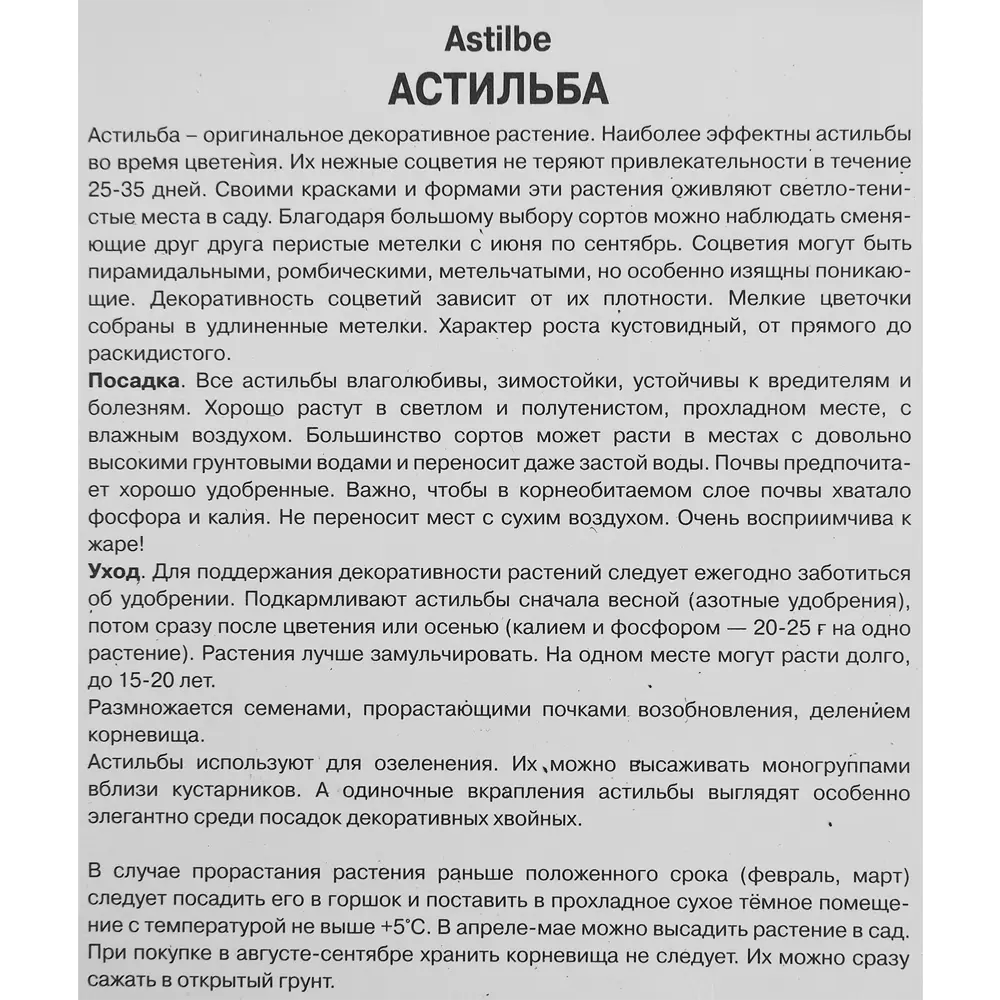Астильба Арендса Уайтберри 85186010 STLM-2118477 ПОИСК  - Вид №2