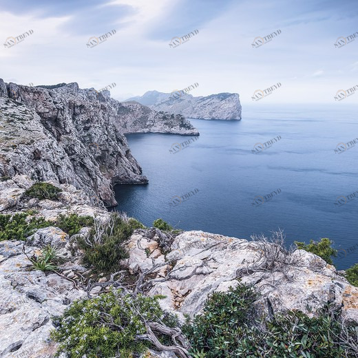 SH013-VD2-Bizarre-Coast Фотообои Komar Stefan Hefele 2.5х2 м SH013VD2BIZARRECOAST