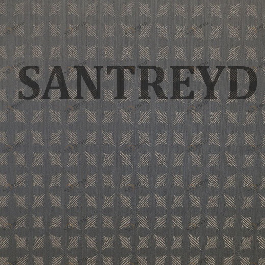 79370 Обои Rasch Selected