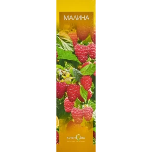 Малина Бабье лето 9x35 см 83539288 STLM-2058847