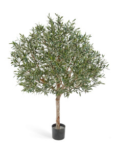 10.27605N Олива натуральная топиари с плодами Цветочная коллекция