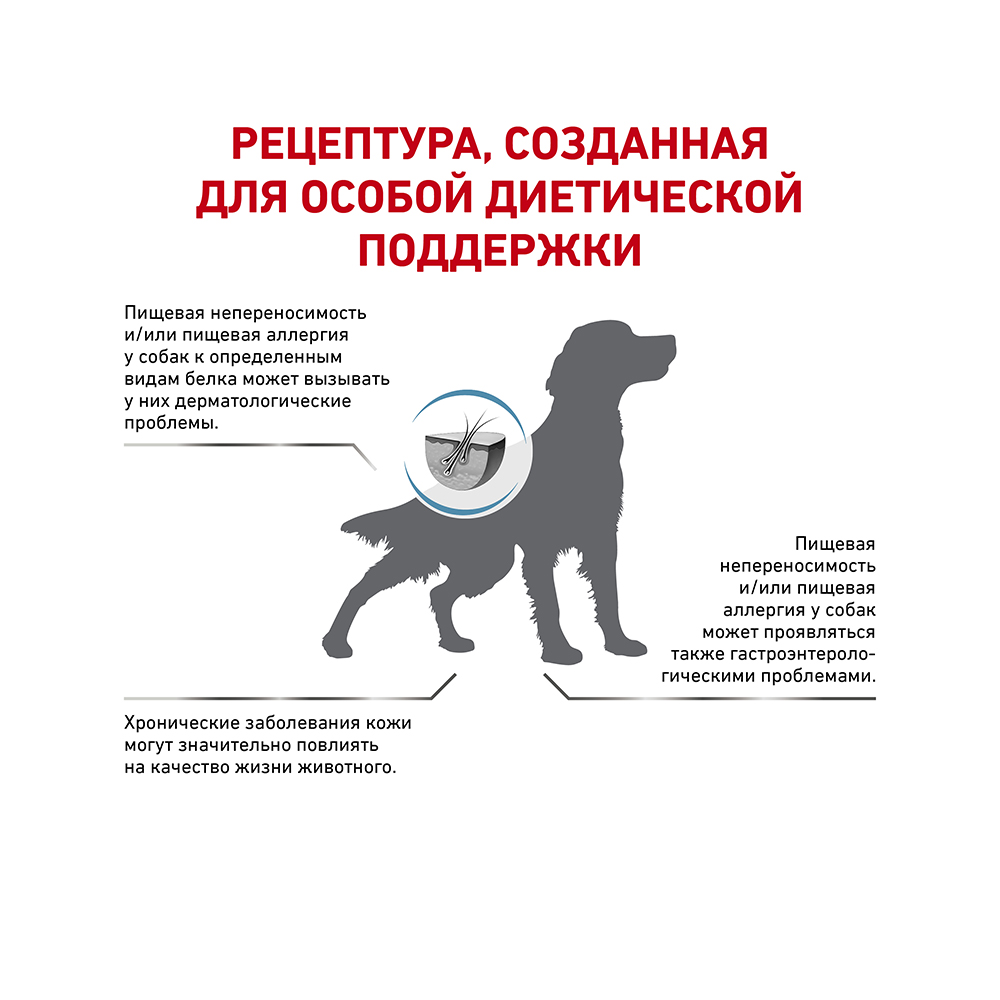 Т0023189 Корм для собак Vet Diet Hypoallergenic DR21 при пищевой непереносимости, птица сух. 2кг ROYAL CANIN  - Вид №2