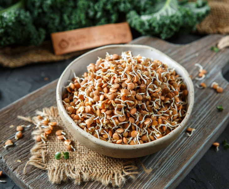 5761 Проростки чечевицы красной Вкусляндия  - Вид №1