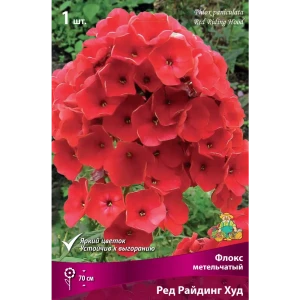 Флокс метельчатый «Ред Райдинг Худ», 1 шт. 82118753 STLM-2061302
