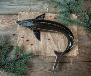 9485 Осетр охлаждённый Вкусляндия