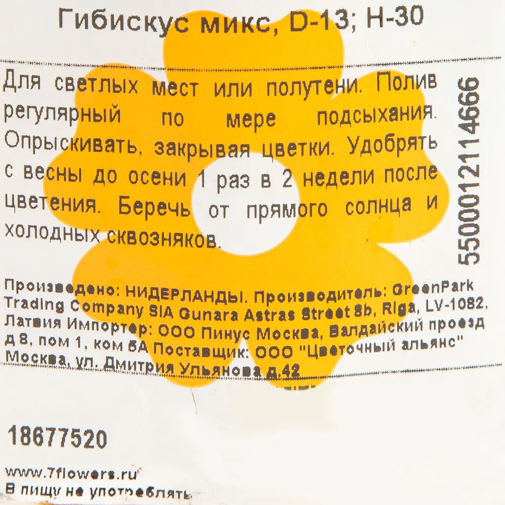 Гибискус микс ø13 h30 см 18677520 STLM-2117870 Santreyd  - Вид №2
