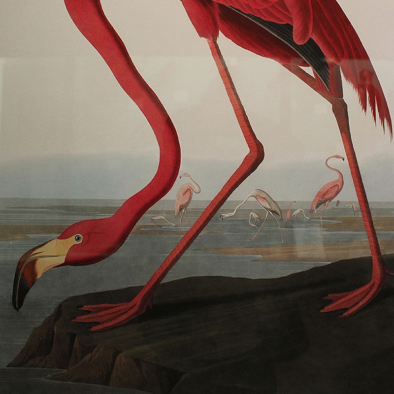 2113/CX38 Картина 0786 Adriani e Rossi 