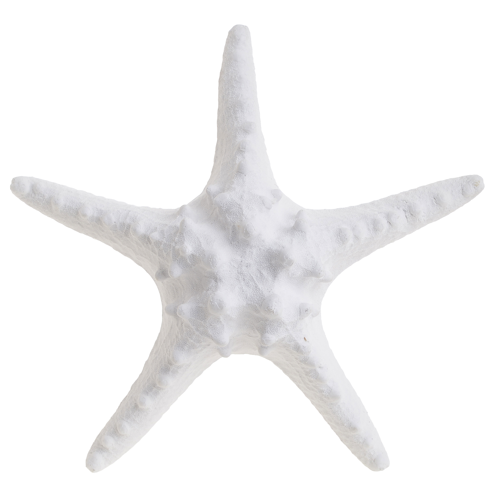 4870594.0001 ДЕКОР НАСТОЛЬНЫЙ TO4ROOMS  - Вид №1