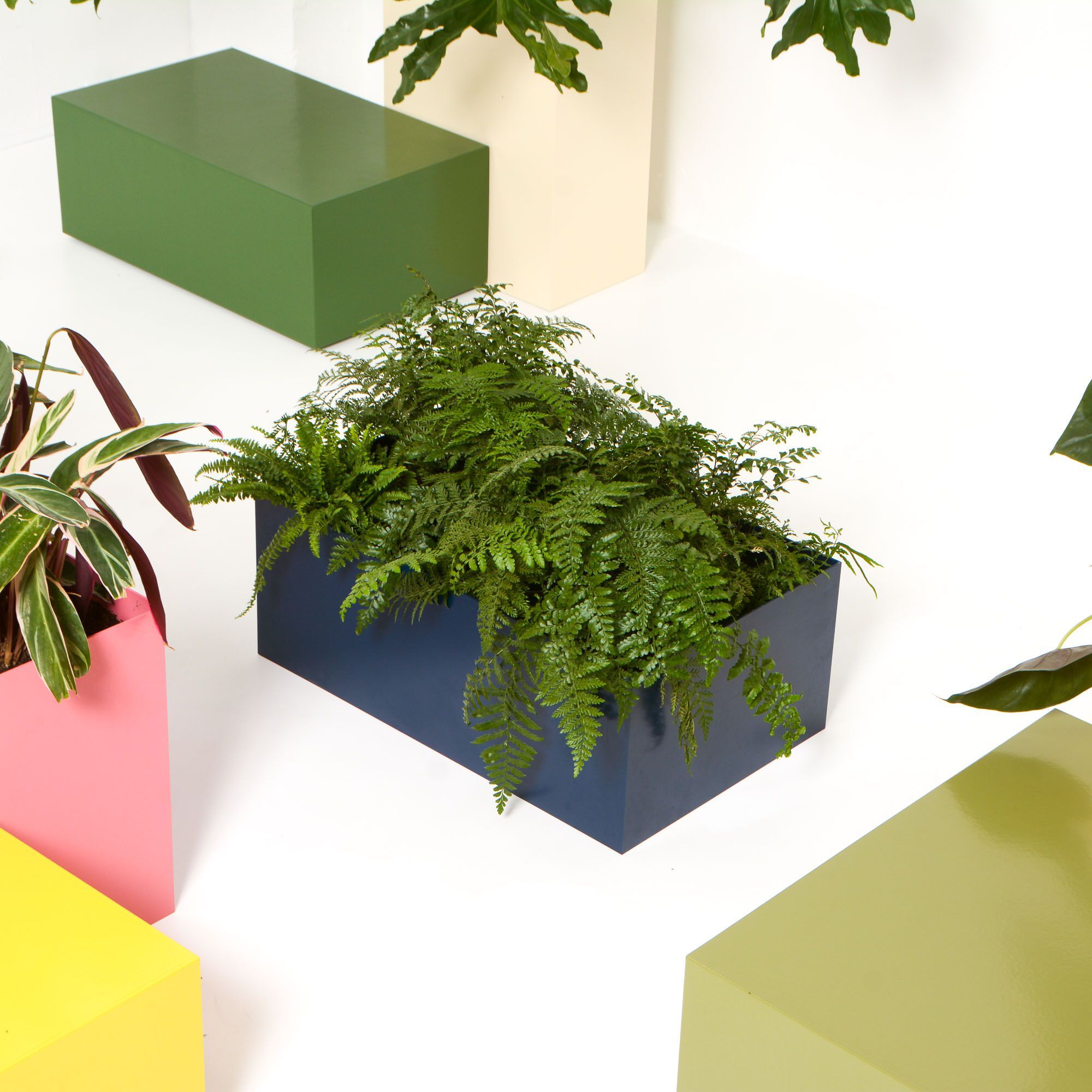 Прямоугольная алюминиевая плантатор с порошковым покрытием SIXINCH PLANTER ARCH-00109030 - Вид №4