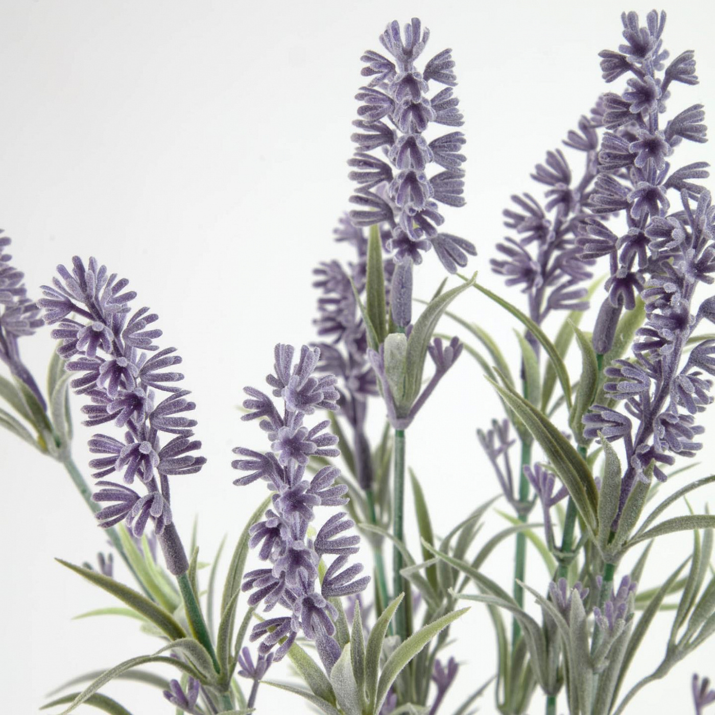 089927 Лаванда в цементном горшке Flower La Forma Lavanda 