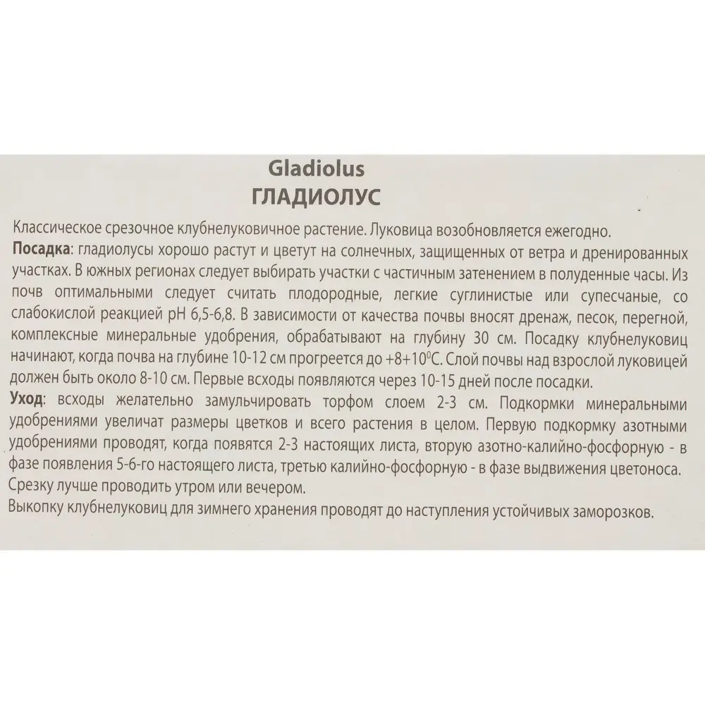 Гладиолус крупноцветковой «Абсолют» 81945438 STLM-2109679 Santreyd  - Вид №2