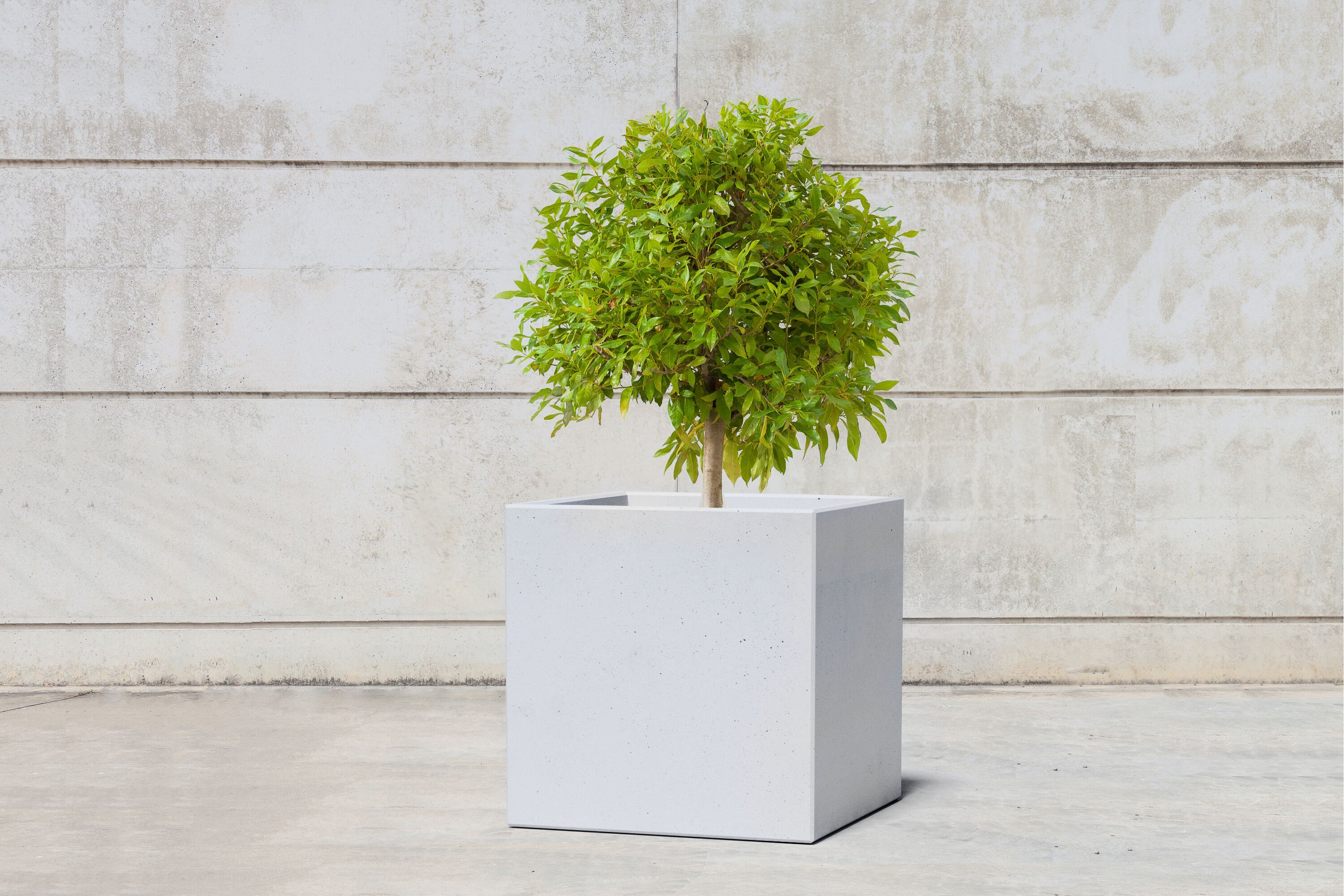 Квадратный плантатор из армированного волокном бетона SIT Cubic ARCH-00079442 - Вид №7