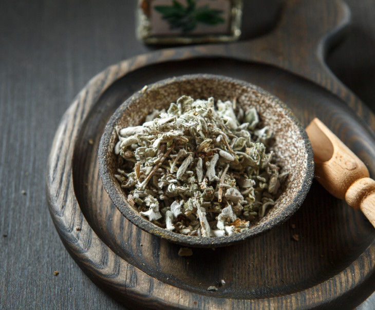 8176 Шалфей Вкусляндия  - Вид №2