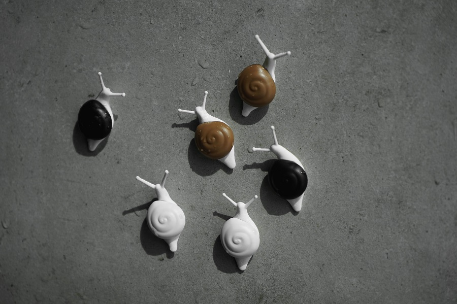 QL10289-MX Магниты snail, 6 шт. Qualy  - Вид №5