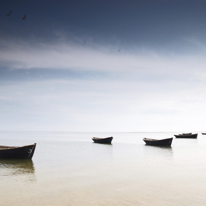 1888/CX38 Картина 0987 Adriani e Rossi 